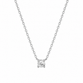 Collar Nova